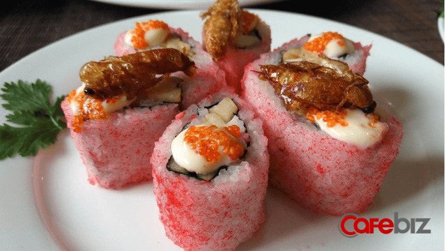 Loài côn trùng nhiều người ghê tởm đang lên ngôi ở Trung Quốc: Hàng loạt trang trại nuôi gián mọc lên như nấm để chế biến thuốc, xử lý thực phẩm thừa và dùng làm nguồn thức ăn cho 1,4 tỷ dân - Ảnh 3.