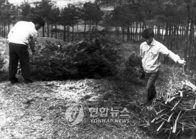 Mẹ nghi phạm vụ giết người h&#224;ng loạt chấn động H&#224;n Quốc: Đổ lỗi v&#236; con d&#226;u bỏ đi n&#234;n con trai vốn hiền l&#224;nh mới cưỡng bức v&#224; giết chết em vợ - Ảnh 4.
