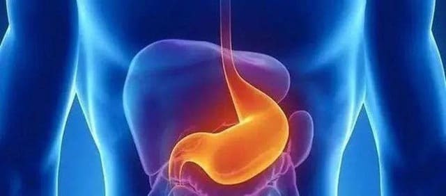 Con gái 21 tuổi đã mắc ung thư dạ dày và sự hối hận tột độ của người cha: “Giá như tôi bắt con làm điều này sớm hơn” - Ảnh 4.