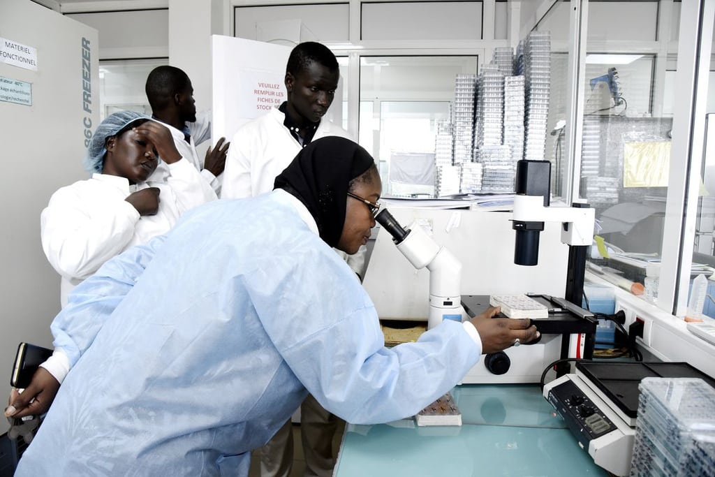 Phong thi nghiem khap noi sang den chay dua tim vac-xin chong dich hinh anh 3 Cac_nha_khoa_hoc_tai_Dakar_Senegal_nghien_cuu_loai_virus_corona_chung_moi_Anh_AFP.jpg