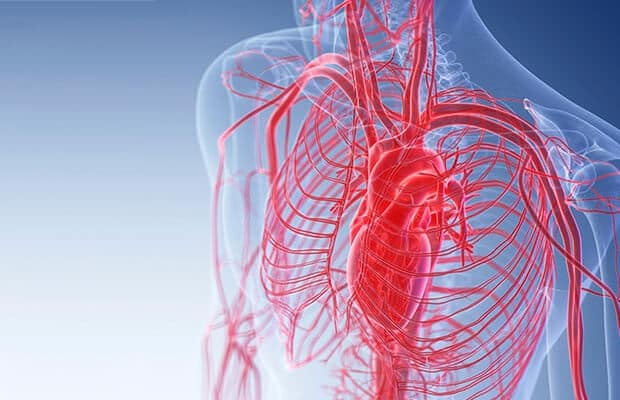 Phat hien moi ve bien chung bi an cua virus corona hinh anh 5 blood_vessels_620x400_wd_noexp_BHF.jpg
