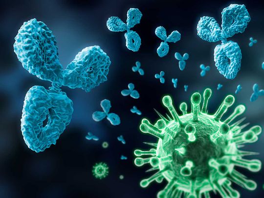 Covid-19: Sản xuất thành công kháng thể diệt virus SARS-CoV-2 - 1