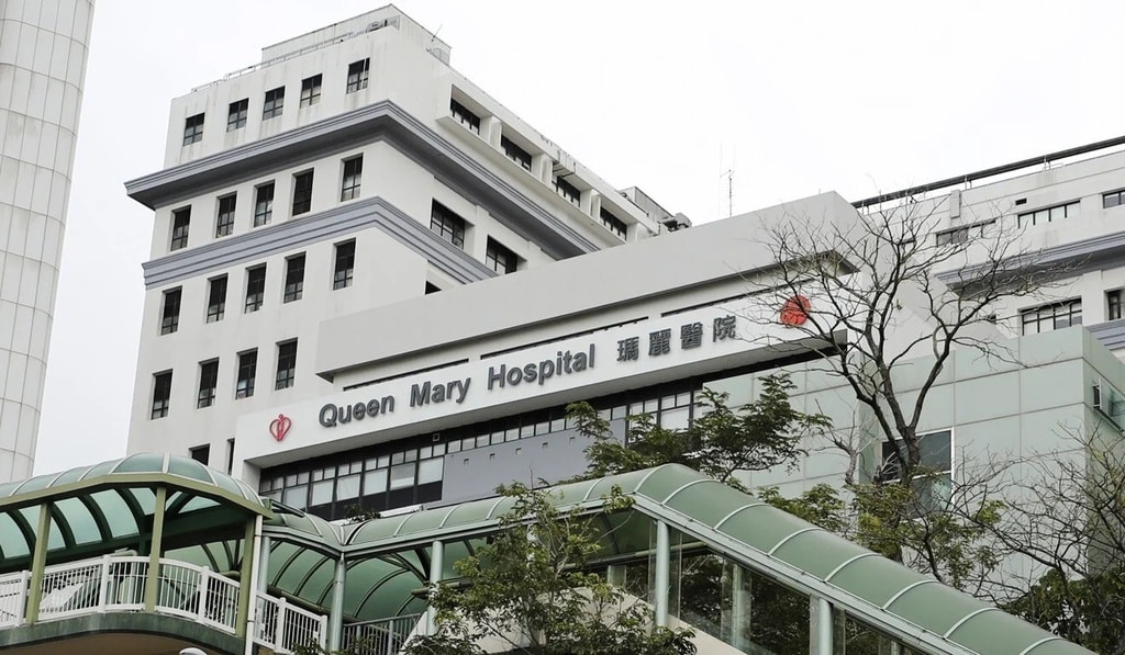 Hang loat nguoi Hong Kong nhiem virus viem gan mot cach bi an tu chuot hinh anh 2 ae281978_8ae9_11ea_8a72_3b4a65ec119d_1320x770_130944.jpg