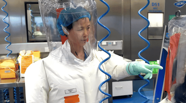  Lộ bằng chứng về việc Viện Virus học Vũ Hán nuôi dơi làm thí nghiệm: Mỹ nghi điều tra viên WHO bao che - Ảnh 3.