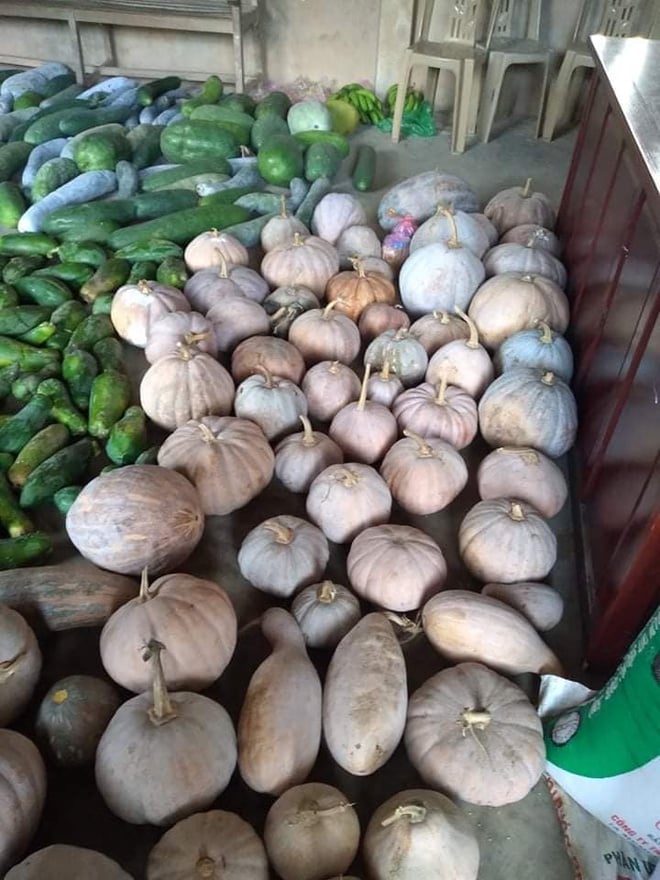 Nguoi dan Quang Binh gom rau cu gui tang ba con TP.HCM anh 1