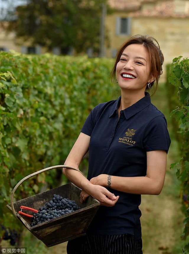  Triệu Vy: Én nhỏ hóa diều hâu thủ đoạn với 1001 bê bối hung đồ, ăn cháo đá bát cho đến làm tiểu tam và quả báo đến muộn - Ảnh 23.