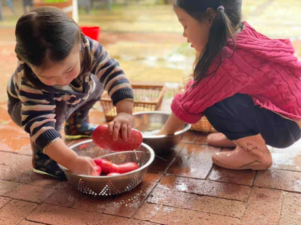Nguoi me Viet o Australia trong cay trai khong lo anh 11