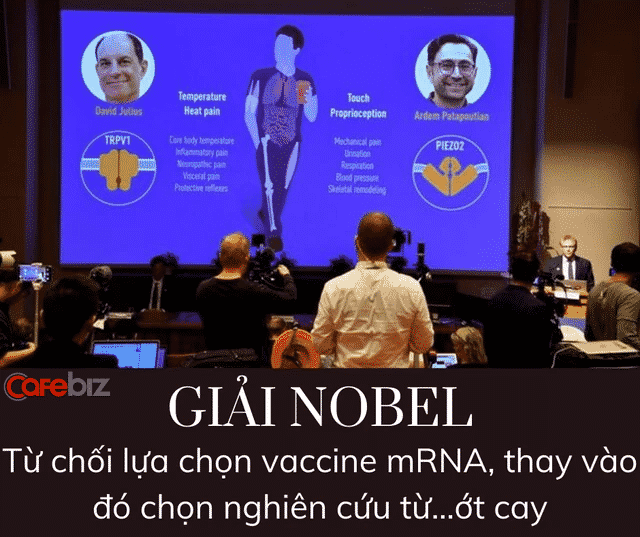 Bất ngờ: Giải Nobel từ chối vinh danh vaccine mRNA của Pfizer/Moderna, chê rằng chẳng có gì mới - Ảnh 1.