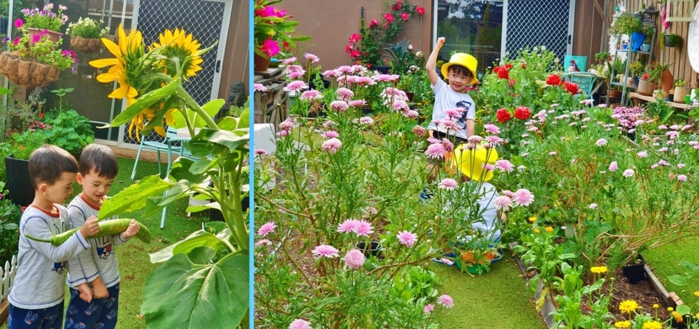 Vợ Việt ở Úc nửa đêm giấu chồng đào đất làm vườn cây trái đẹp ngỡ ngàng
