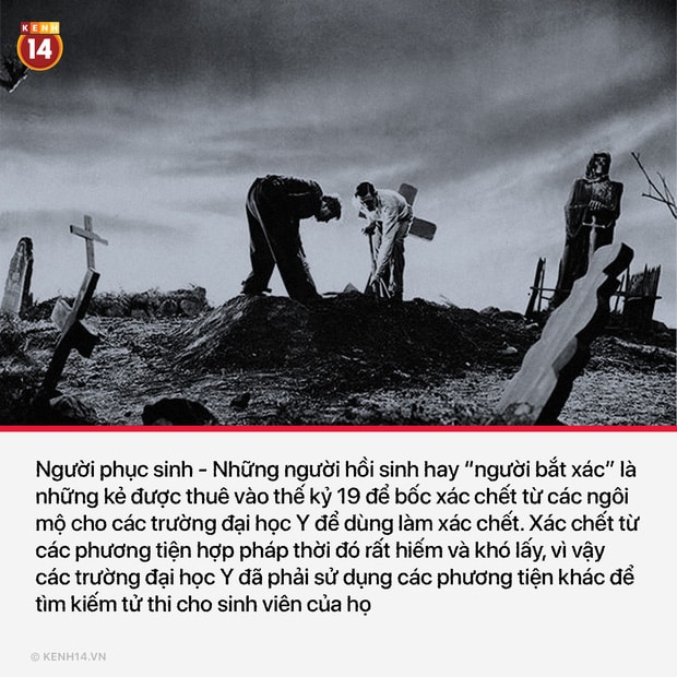 11 công việc siêu kì lạ và độc đáo đã thất truyền hoàn toàn khi xã hội phát triển - Ảnh 10.