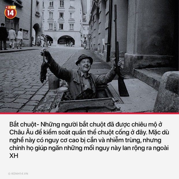 11 công việc siêu kì lạ và độc đáo đã thất truyền hoàn toàn khi xã hội phát triển - Ảnh 5.