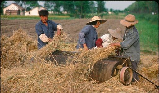 Giáo sư nổi tiếng tuyên bố: Khi trẻ lười học, thay vì đánh mắng hãy đưa con đến 6 nơi này! - Ảnh 1. Giáo sư nổi tiếng tuyên bố: Khi trẻ lười học, thay vì đánh mắng hãy đưa con đến 6 nơi này! - Ảnh 1.