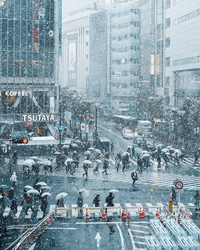  Chùm ảnh: Khung cảnh Tokyo dưới tuyết trắng đẹp đến nao lòng, phảng phất nét buồn tựa cổ tích mùa đông  - Ảnh 1.