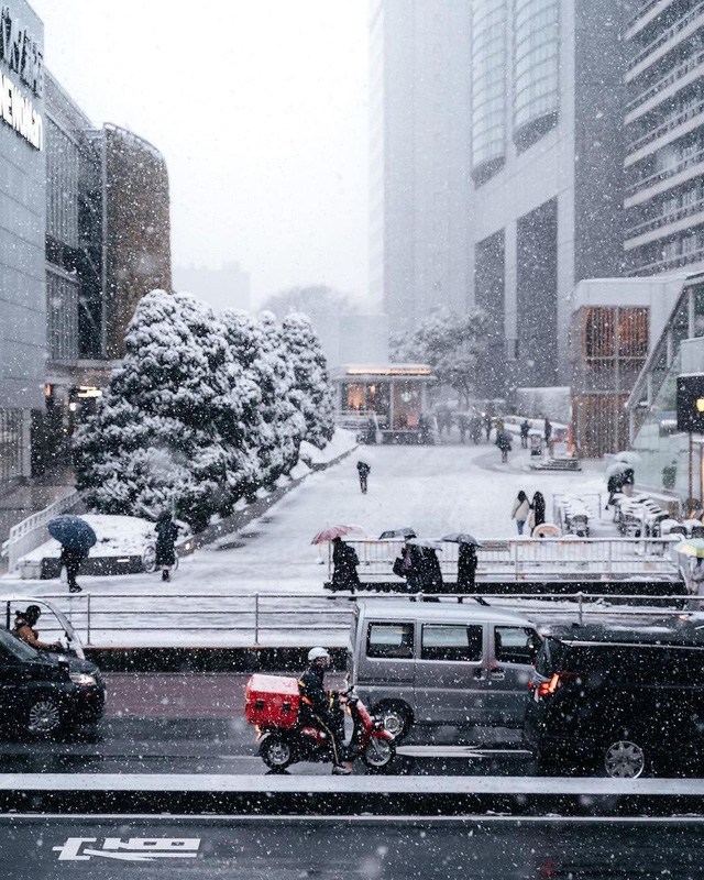  Chùm ảnh: Khung cảnh Tokyo dưới tuyết trắng đẹp đến nao lòng, phảng phất nét buồn tựa cổ tích mùa đông  - Ảnh 11.