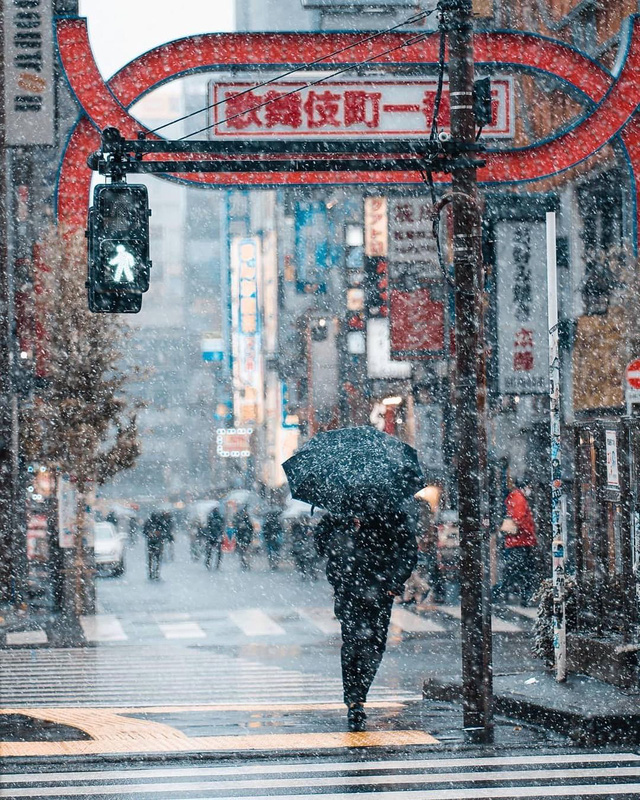 Chùm ảnh: Khung cảnh Tokyo dưới tuyết trắng đẹp đến nao lòng, phảng phất nét buồn tựa cổ tích mùa đông  - Ảnh 12.