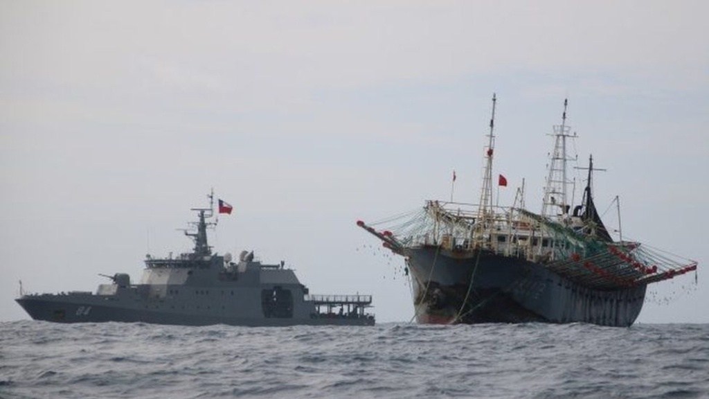 Tàu cá Trung Quốc xuất hiện, vùng biển Tây Phi suy kiệt - ảnh 2