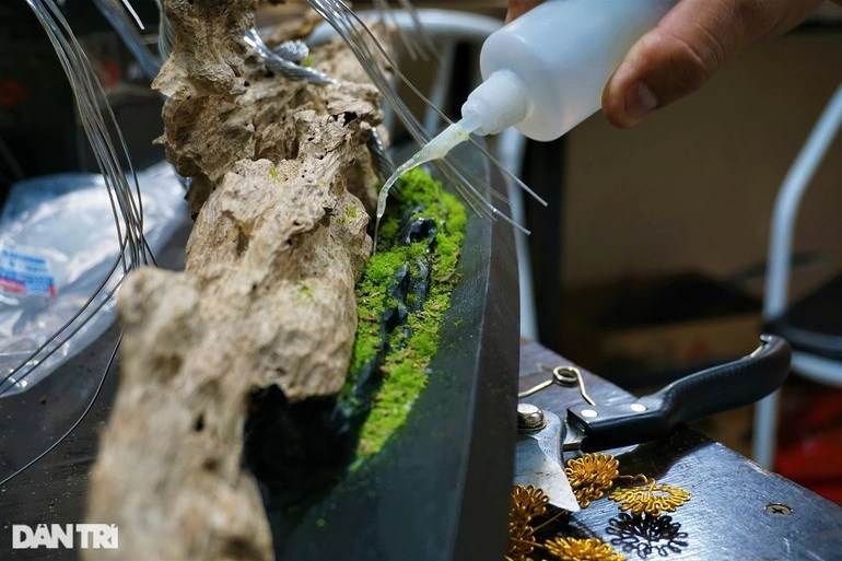 Bỏ việc nghìn đô la, kỹ sư về làm bonsai bất tử bán cho đại gia - 10