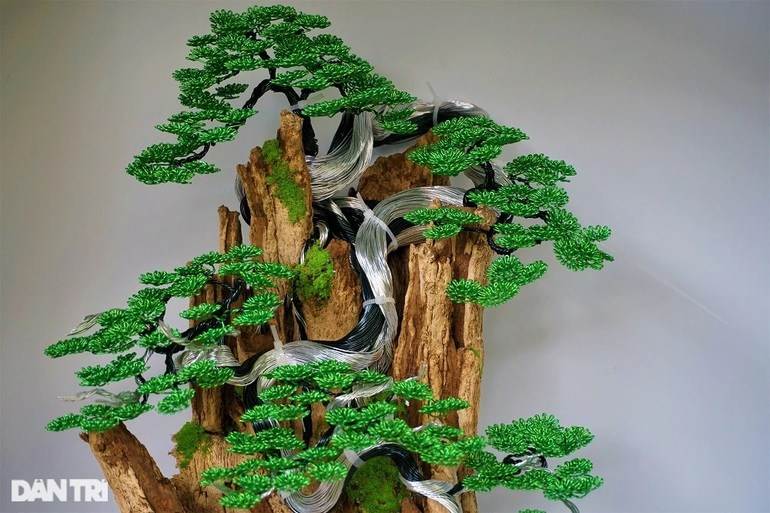 Bỏ việc nghìn đô la, kỹ sư về làm bonsai bất tử bán cho đại gia - 12