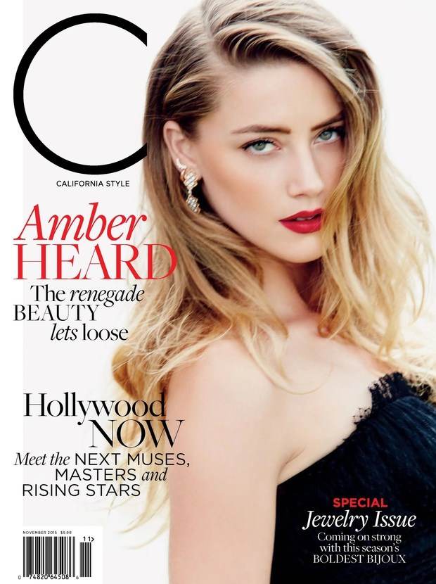Amber Heard - Cô vợ đánh đập Johnny Depp là ai? Mỹ nhân đẹp nhất hành tinh bạo hành 2 cuộc hôn nhân, ngoại tình tay 3 với tỷ phú Twitter - Ảnh 2.