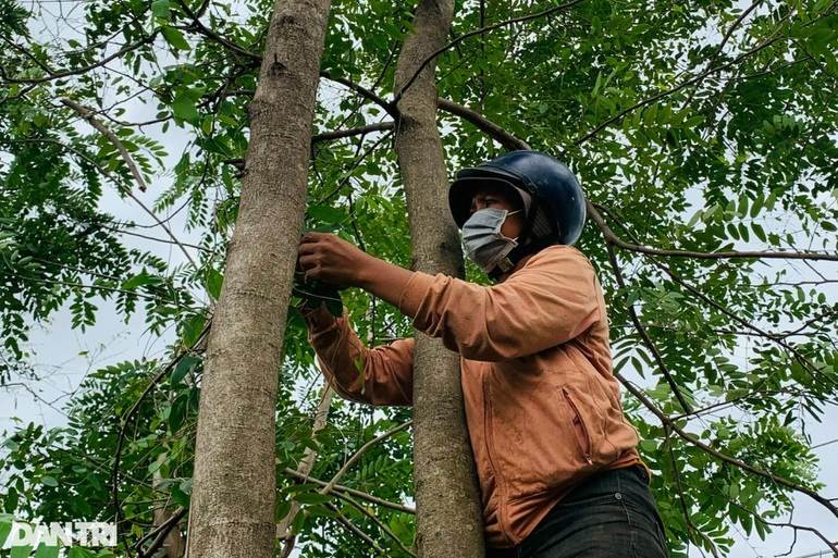 Lạ lùng đặc sản độc nhất ở Tây Nguyên, khách nhắm tít mắt mới dám thử - 1