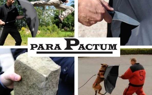 Hé lộ giá trị chiếc ô bảo vệ Tổng thống Pháp khi bị ném cà chua - Ảnh 1.