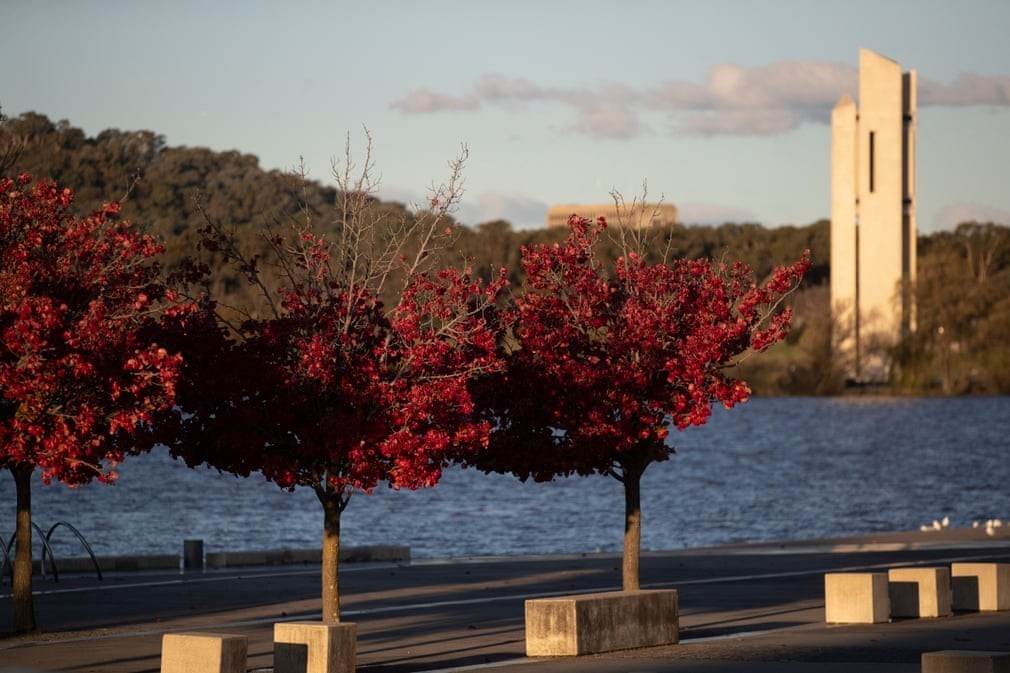 Hình ảnh thủ đô Canberra được 'nhuộm màu' trong sắc Thu trữ tình