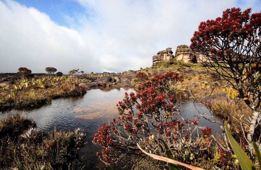Nui Roraima anh 4