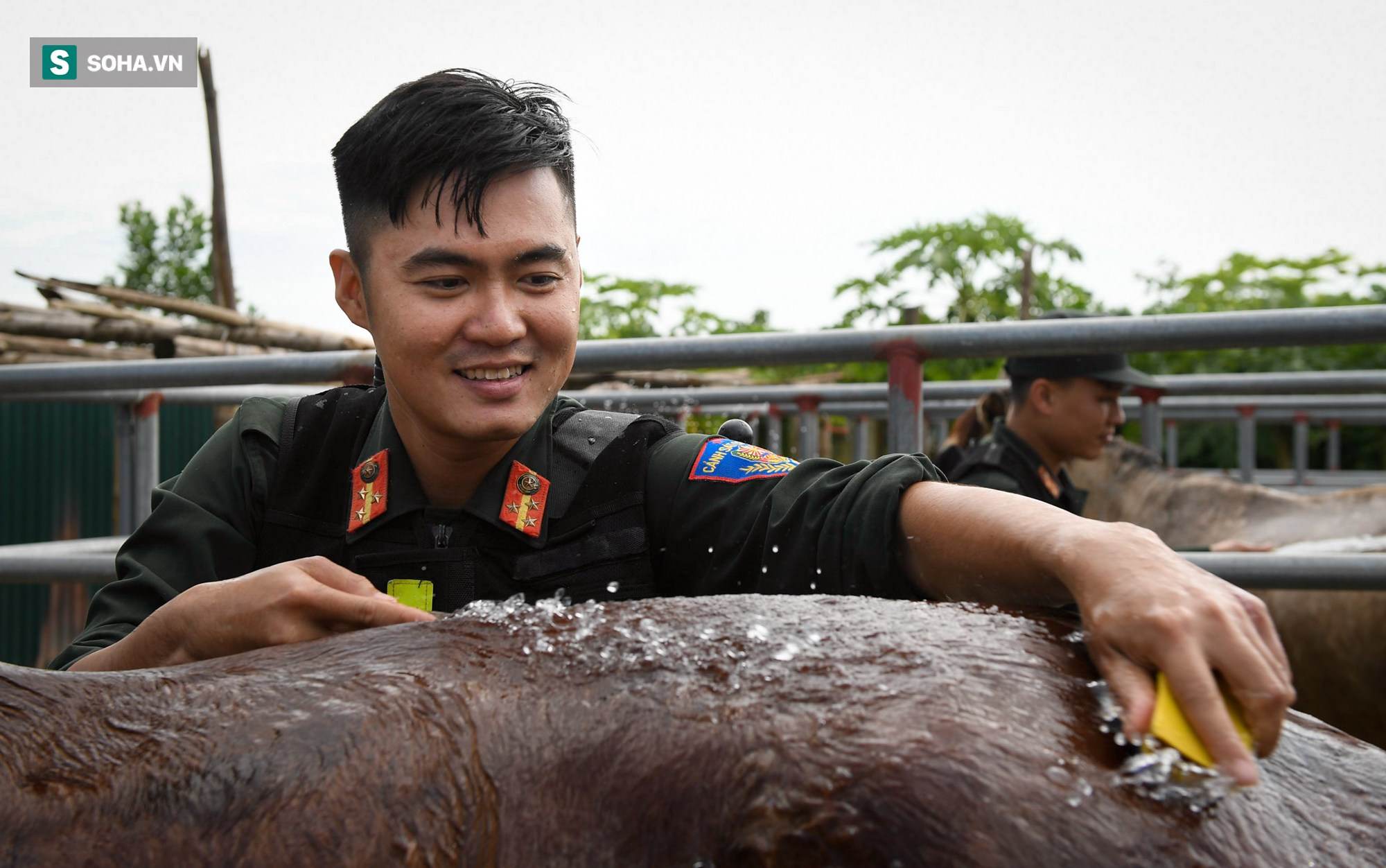 CSCĐ Kỵ binh rượt đuổi tội phạm như trong phim - tung cước quật ngã đối tượng - Ảnh 21.