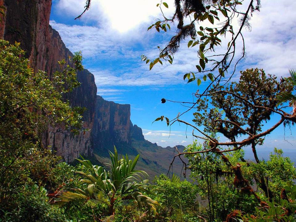 Nui Roraima anh 6