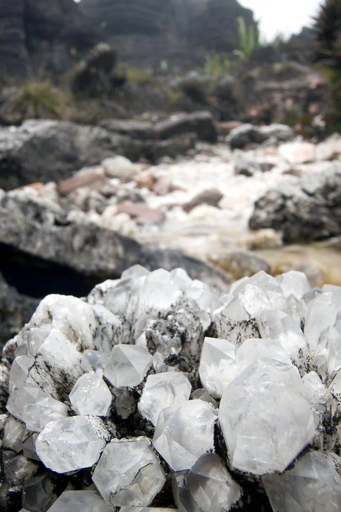 Nui Roraima anh 11