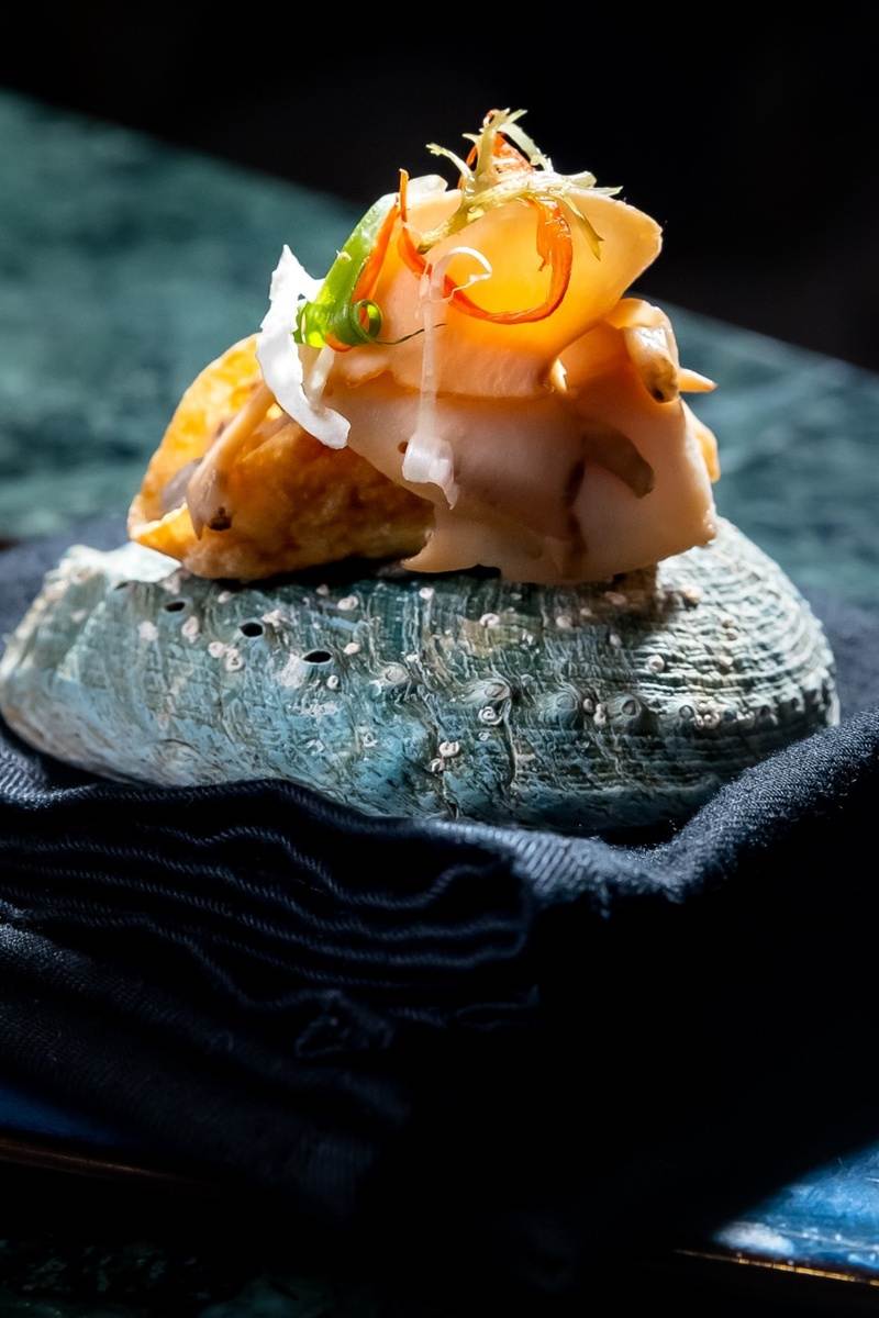 Bào ngư ngọc bích Australia, món ngon thần dược trong ẩm thực hải sản từ đại dương
