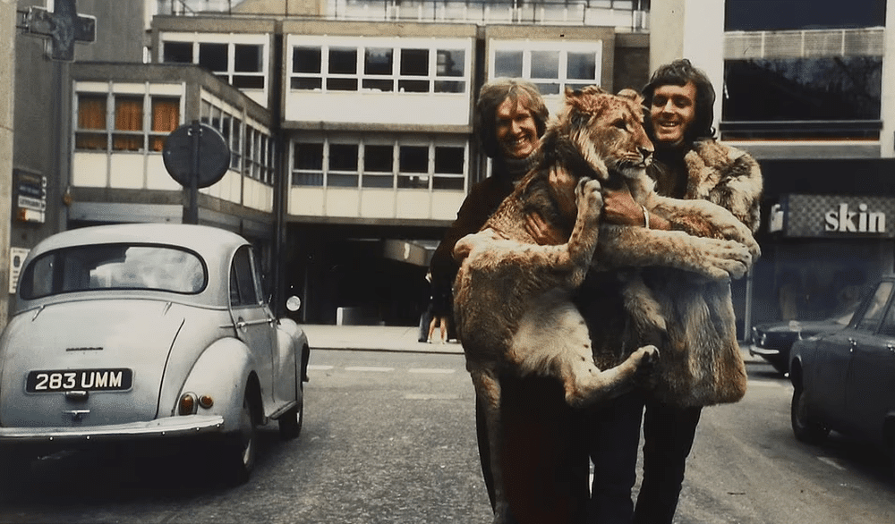 Hình ảnh hiếm về cuộc sống sang chảnh của sư tử nuôi trong căn hộ cao cấp năm 1960 - Ảnh 4.