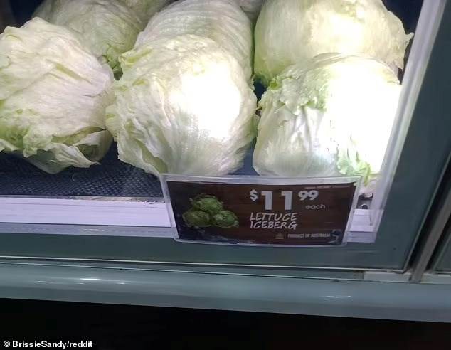 Bức ảnh chụp từ kệ b&agrave;y rau củ quả trong si&ecirc;u thị, cho thấy gi&aacute; của một c&acirc;y x&agrave; l&aacute;ch Iceberg l&ecirc;n tới 11.99 AUD Australia (tương đương 199.000 VNĐ)