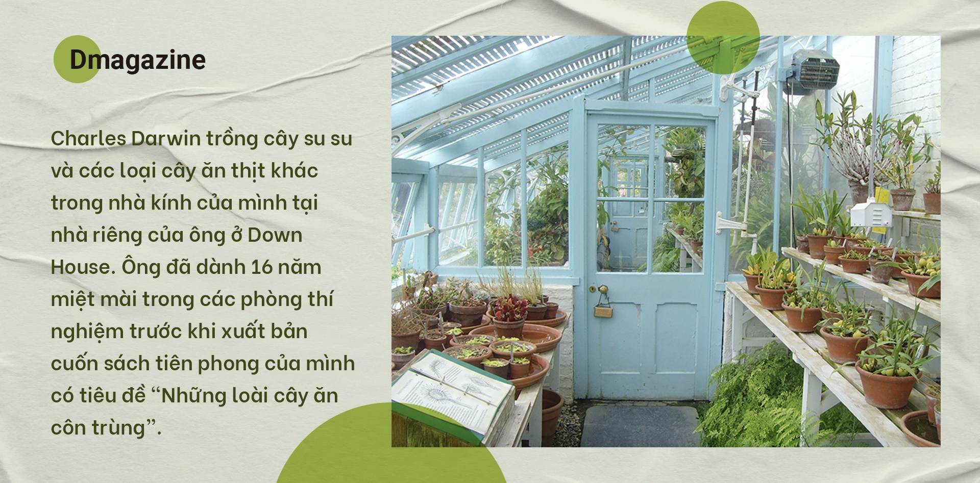 Phát hiện chấn động về chặng đường tiến hóa biến thực vật thành cây ăn thịt - 7