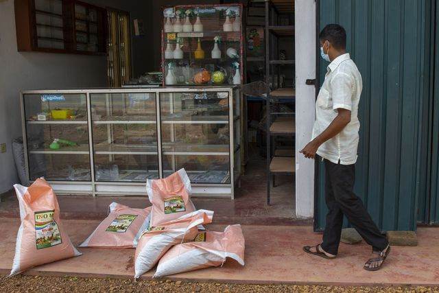 Sri Lanka: Dân gác cuốc ngừng cấy lúa, chỉ dám mua cá, trứng mỗi tháng 1 lần - Ảnh 2. Sri Lanka: Dân gác cuốc ngừng cấy lúa, chỉ dám mua cá, trứng mỗi tháng 1 lần - Ảnh 2.