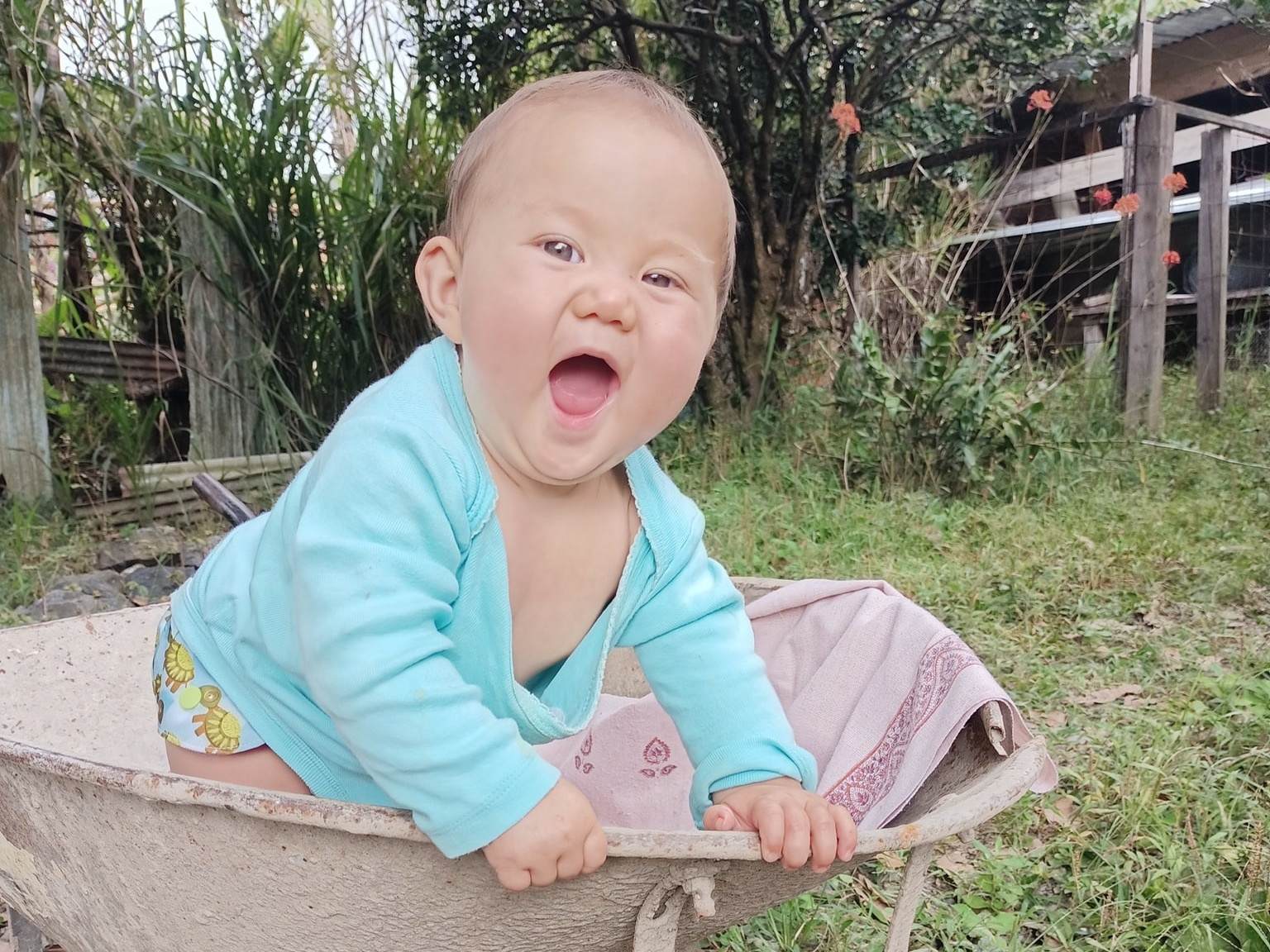 Chàng trai Việt 'cua' bạn gái Mỹ cùng bỏ phố về rừng Nam Mỹ sinh con - ảnh 3