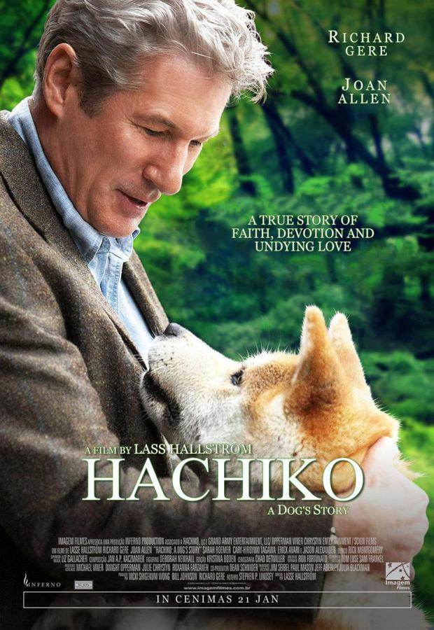  - Ảnh 1.