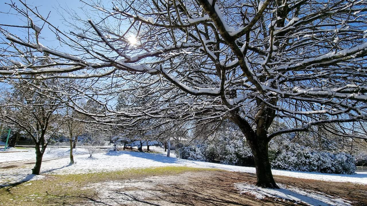 Snow and freezing temperatures hit NSW'