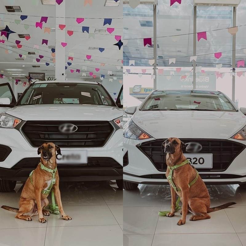  
Tucson được giới thiệu là "niềm tự hào" của showroom xe. (Ảnh: Instagram Tucson Prime)