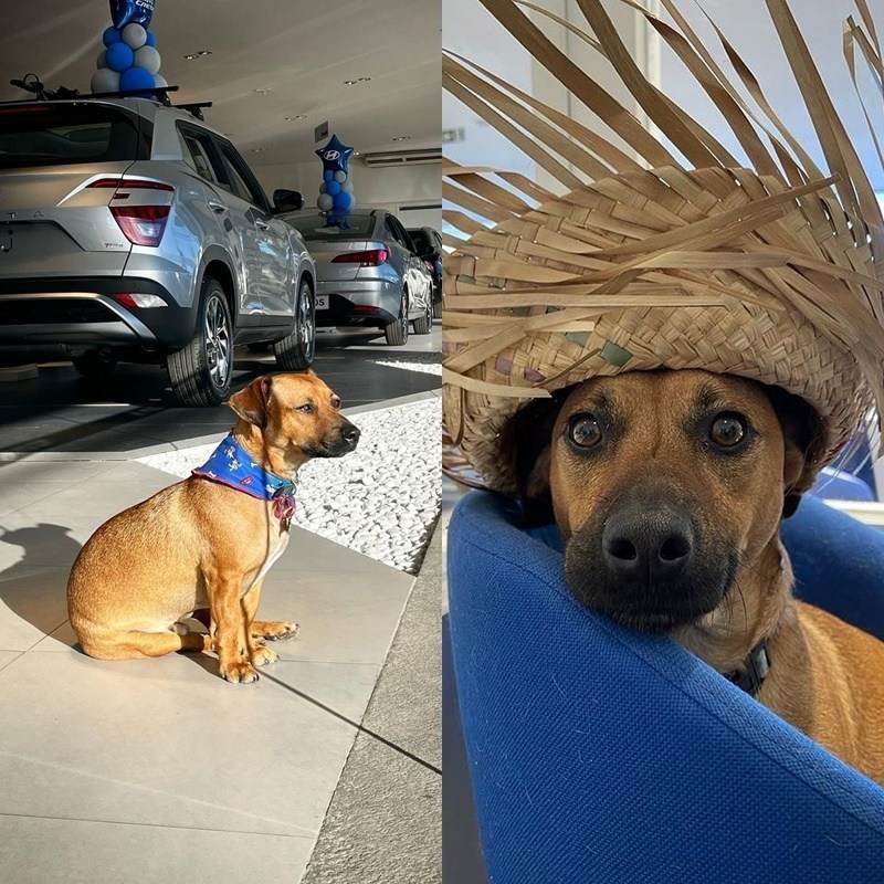  
Vision trở thành đồng nghiệp của Tucson nhưng làm việc tại đại lý khác. (Ảnh: Instagram Vision Carway)