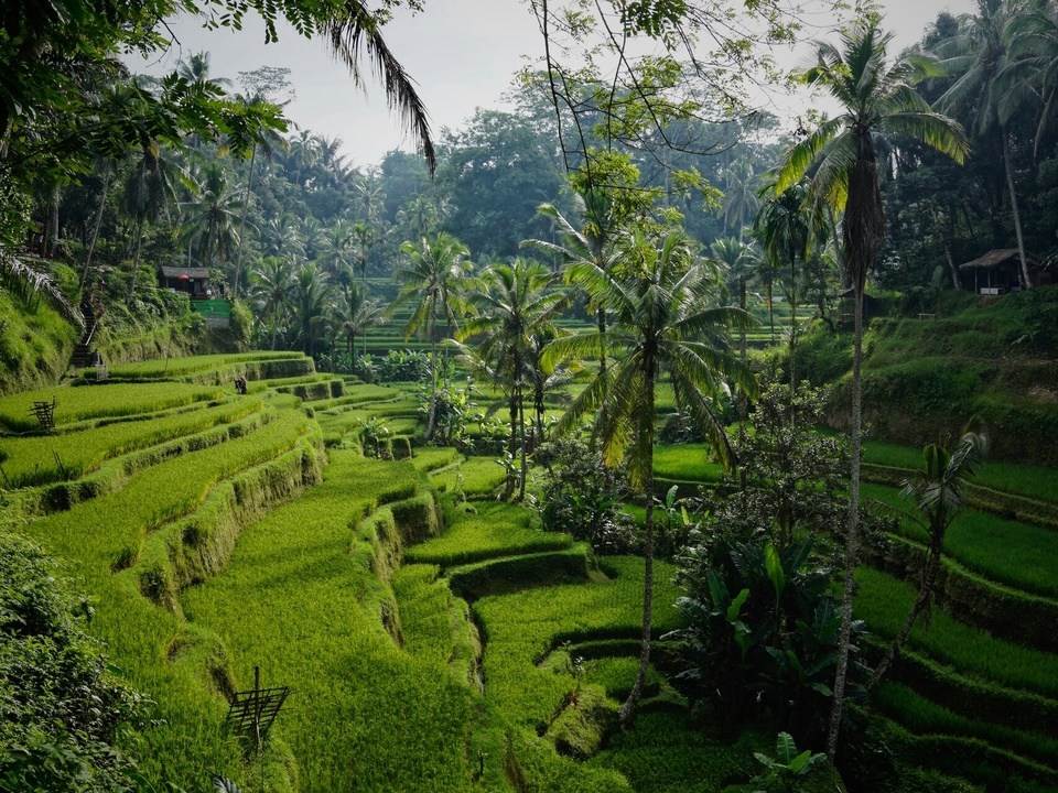 Ninh Binh,  Ninh Binh nam trong top diem den len phim dep nhat chau A,  Kong: Dao Dau Lau anh 6