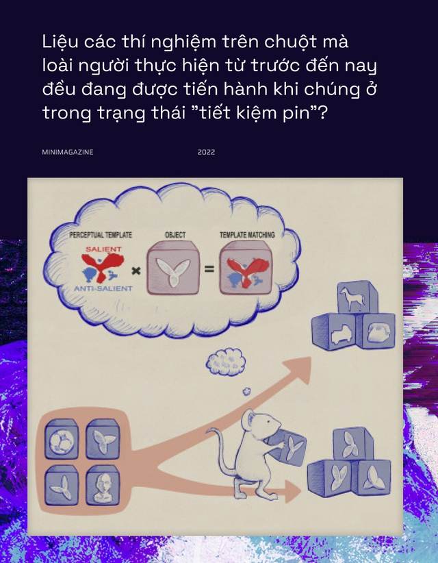  Khi bạn đói, não bộ có thể bật chế độ tiết kiệm pin và giảm độ phân giải thị giác của bạn xuống  - Ảnh 13.