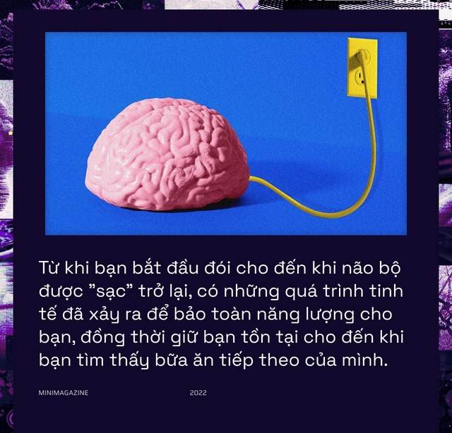  Khi bạn đói, não bộ có thể bật chế độ tiết kiệm pin và giảm độ phân giải thị giác của bạn xuống  - Ảnh 14.