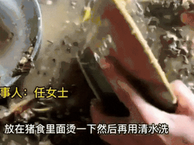 Phụ nữ nông thôn Trung Quốc rửa bát bằng cám lợn, dư luận bùng tranh cãi - 1