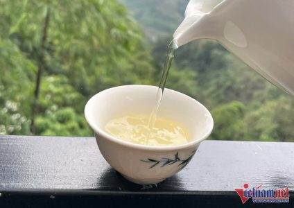 Giới nhà giàu Việt Nam chi bạc triệu săn bạch trà 500 trăm năm tuổi để uống dịp Tết